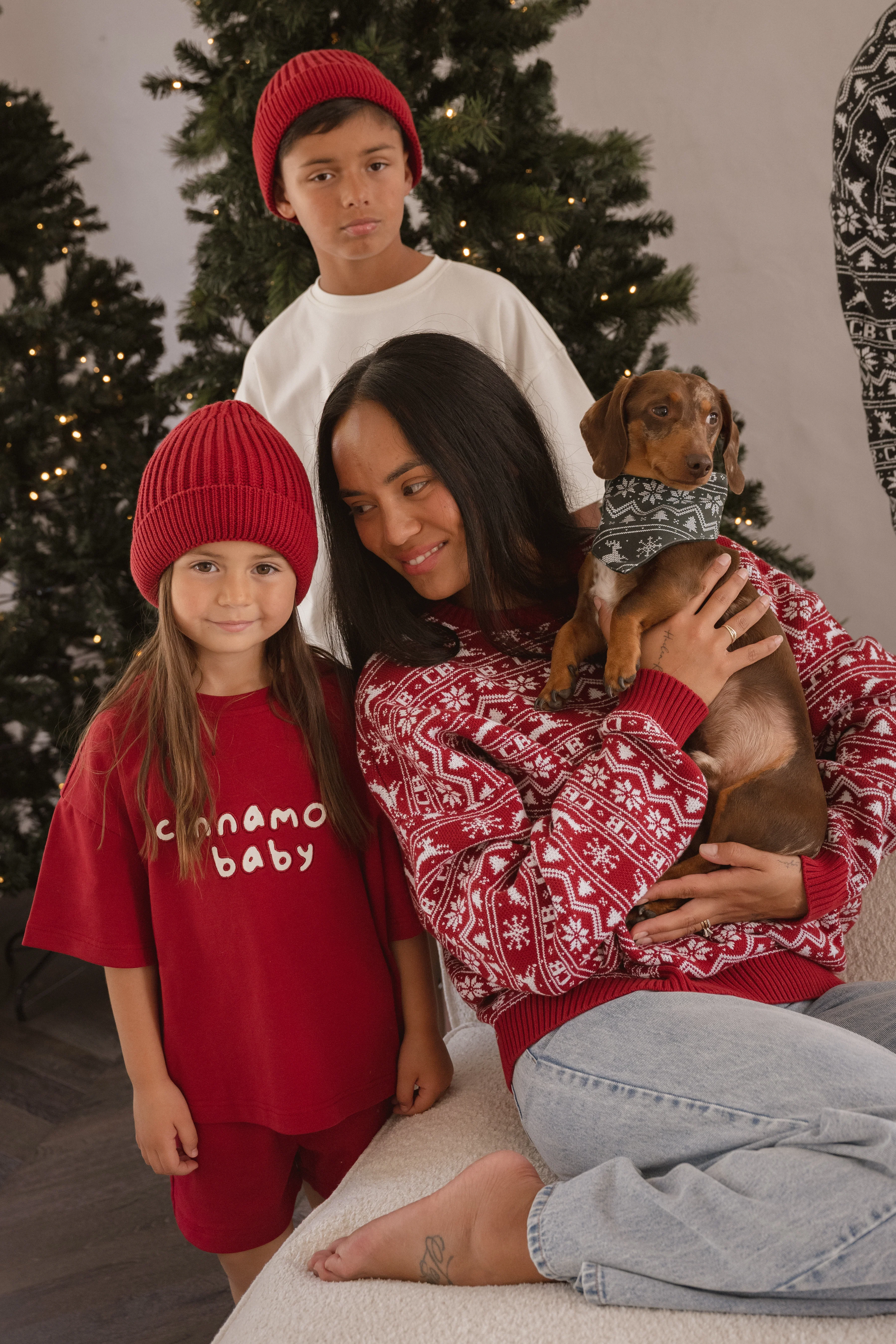 Pet Christmas Bandana - Green - Image 2